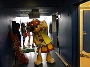 日台親善交流試合